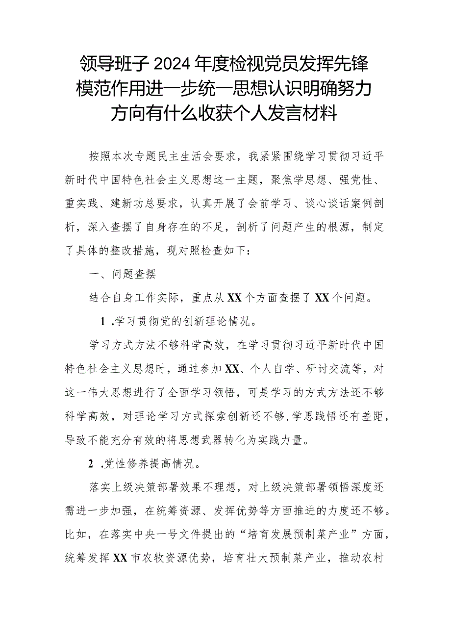 领导班子2024年度检视党员发挥先锋模范作用进一步统一思想认识明确努力方向有什么收获个人发言材料.docx_第1页