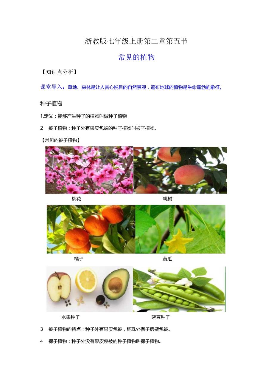 2.5常见的植物（讲义）（解析版）.docx_第1页