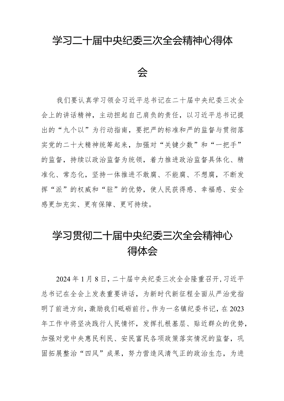 学习二十届中央纪委三次全会精神心得体会交流发言(25篇).docx_第2页