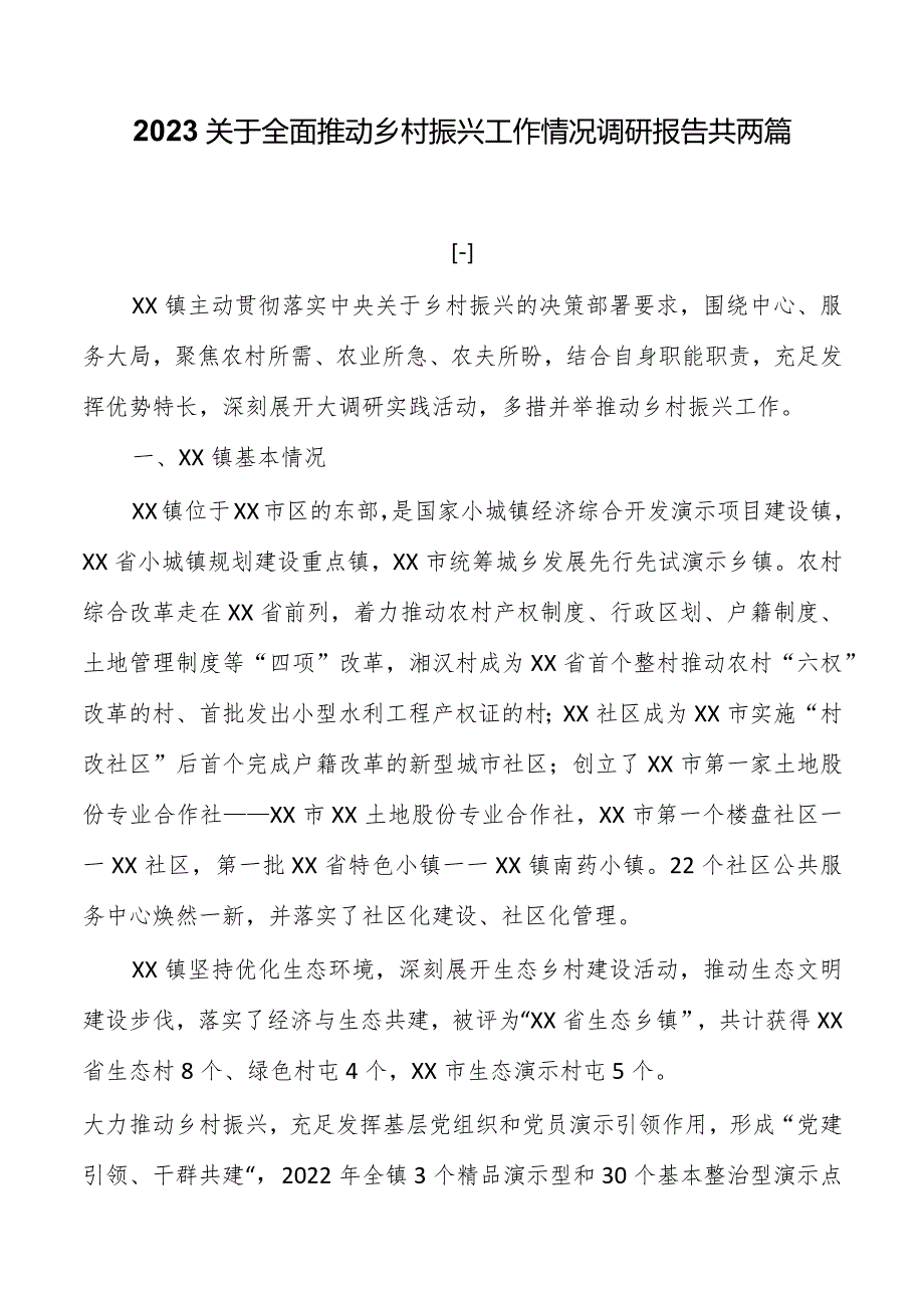 2023关于全面推进乡村振兴工作情况调研报告共两篇.docx_第1页