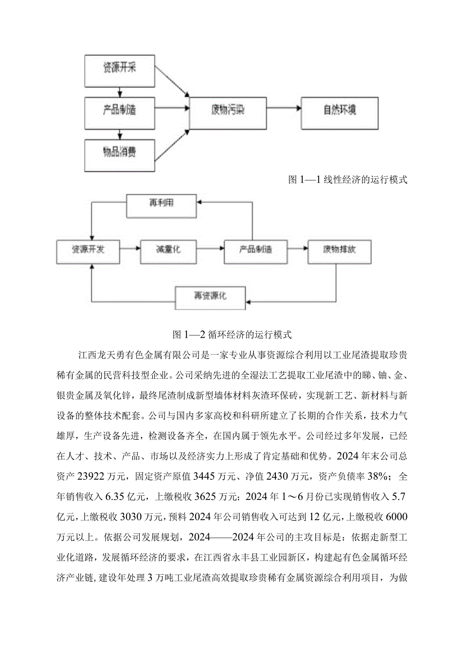 (定稿)年处理3万吨工业尾渣高效提取贵重稀有金属资源综合利用项目申请报告2024.07.20.docx_第3页