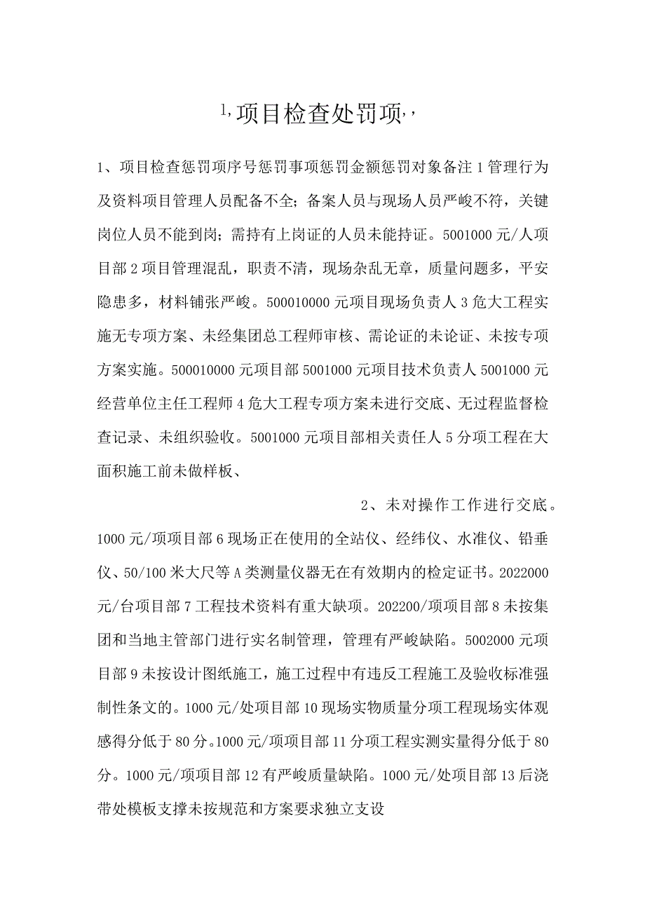 -项目检查处罚项-.docx_第1页