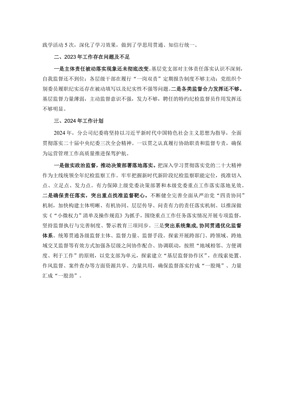 2023年度公司纪委述职述责述廉报告.docx_第2页