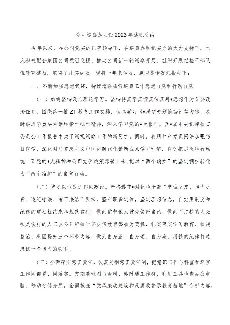 公司巡察办主任2023年述职总结.docx_第1页