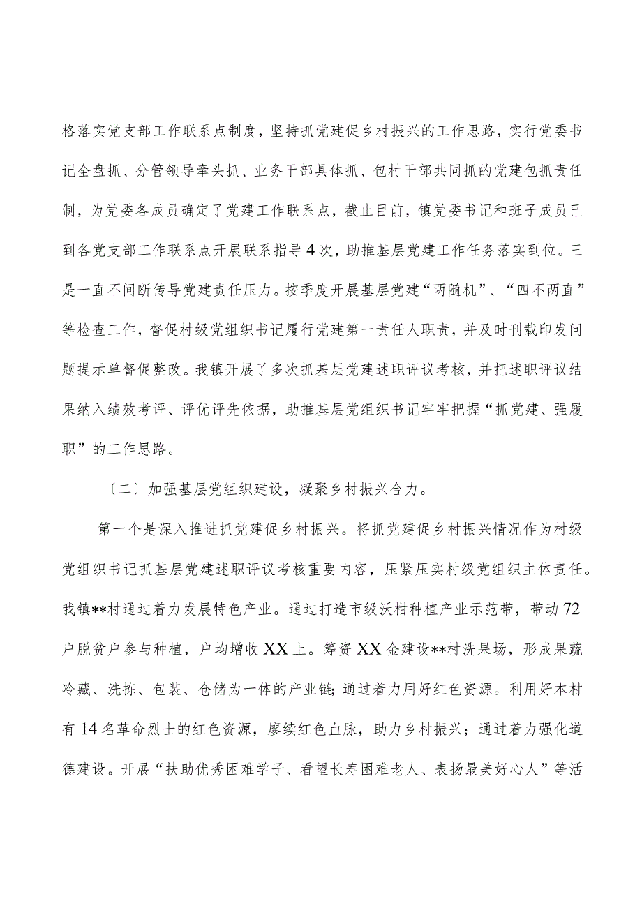 2023年党组织书记抓基层党建工作述职报告09.docx_第2页