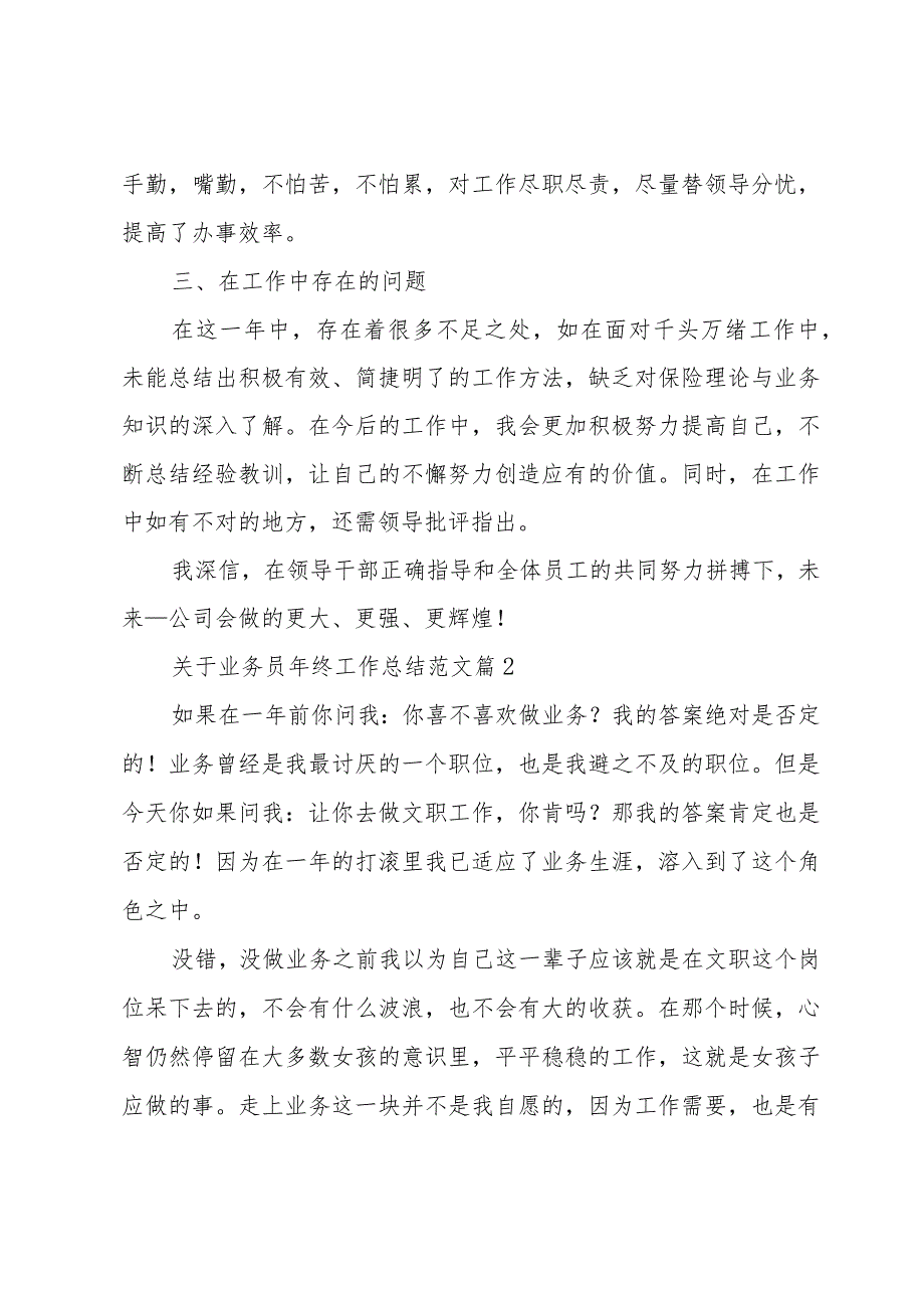 关于业务员年终工作总结范文（30篇）.docx_第2页