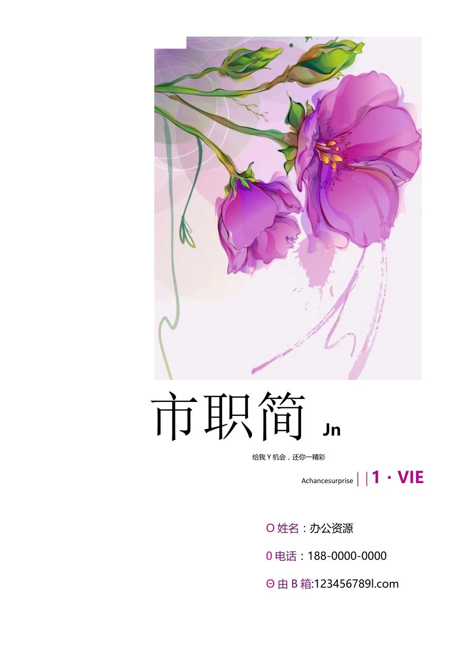 摄影、美术、设计师通用简历模板.docx_第1页