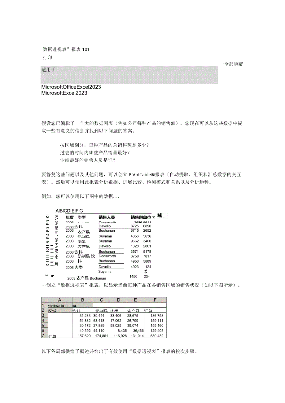 2023年Ecel数据透视表技巧说明.docx_第1页