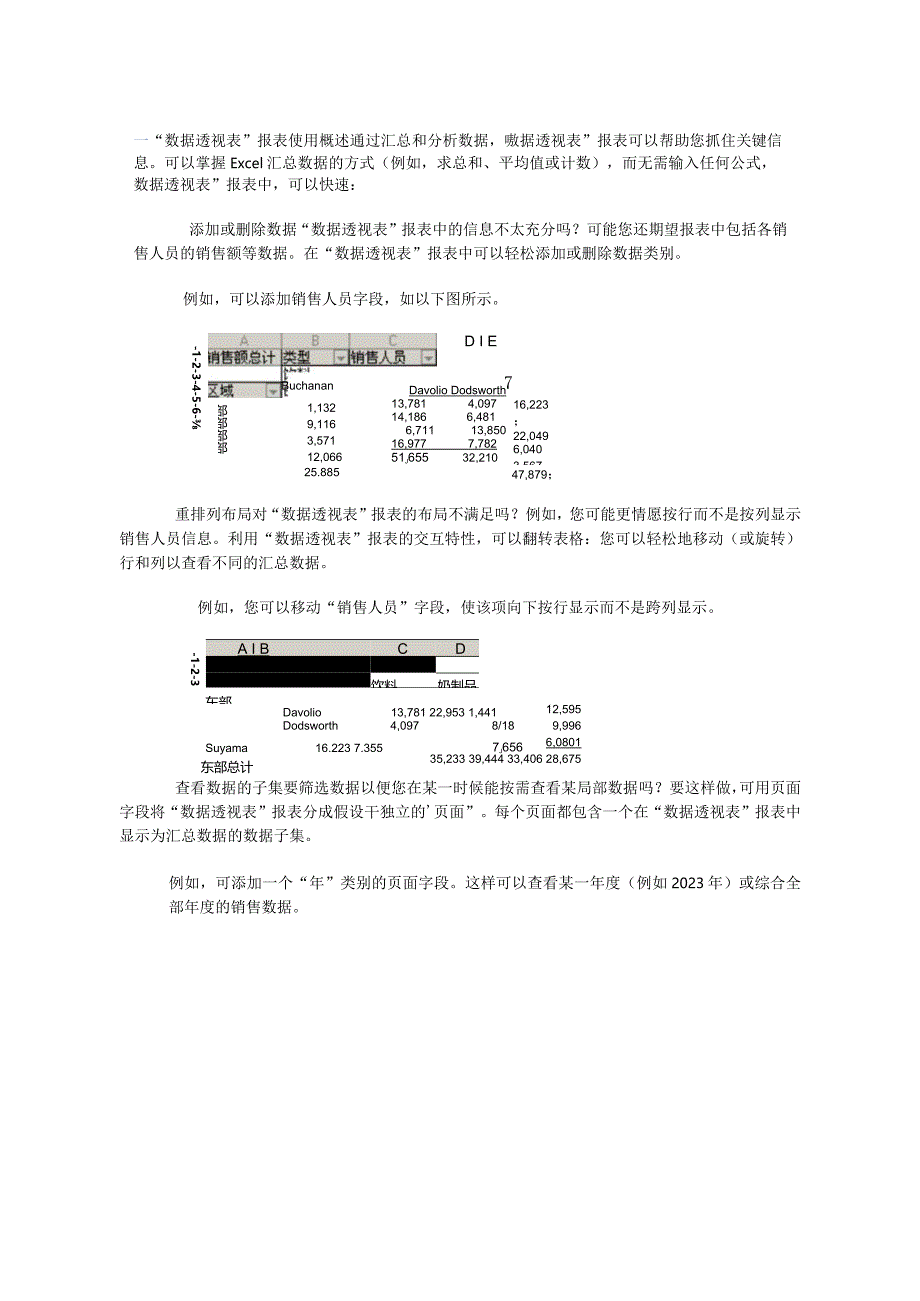 2023年Ecel数据透视表技巧说明.docx_第2页