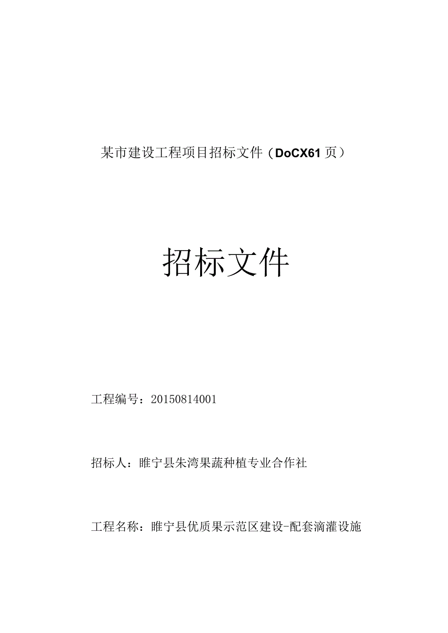 某市建设工程项目招标文件(DOCX61页).docx_第1页