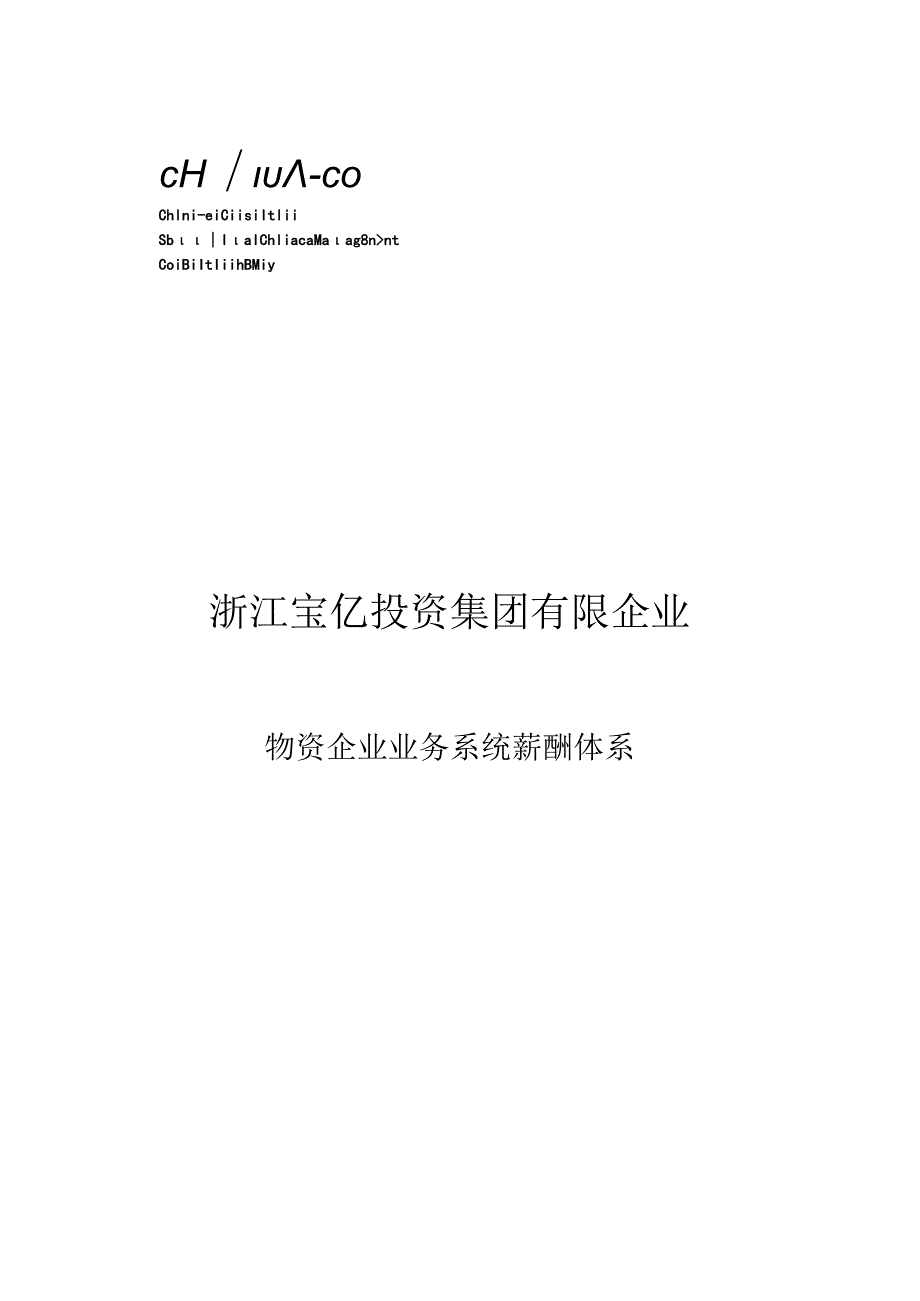 物资公司薪酬体系宝亿集团业务系统全新改进.docx_第1页