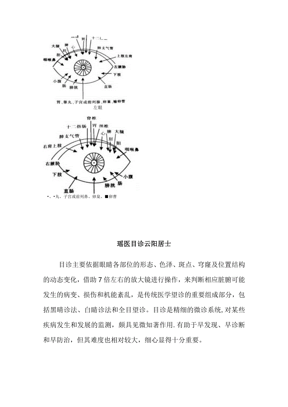 瑶医目诊云阳居士.docx_第1页