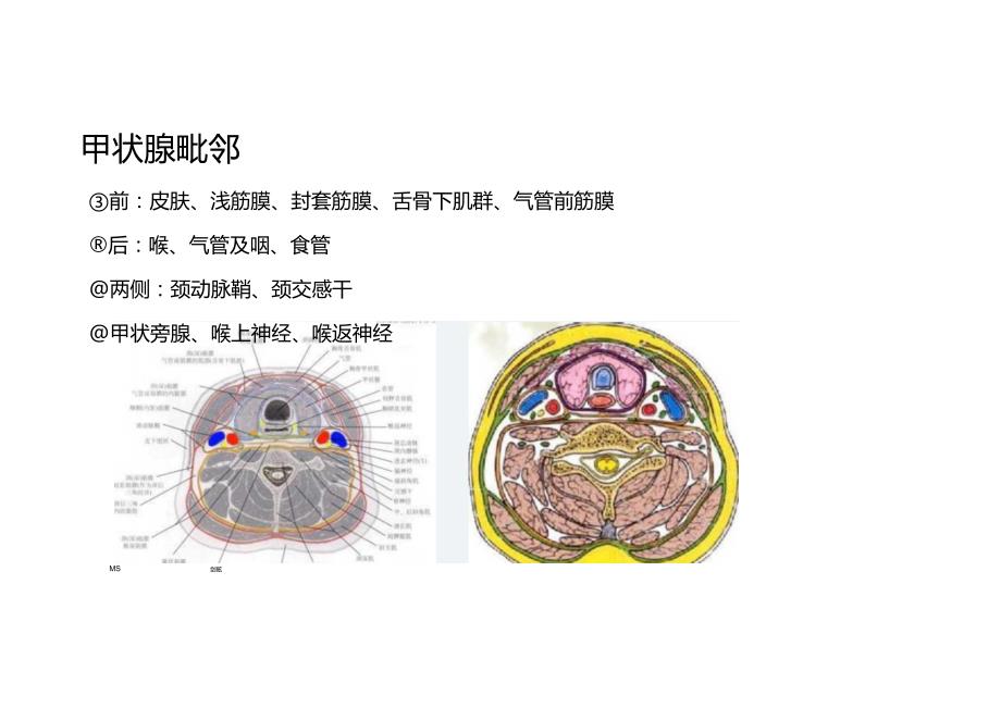 甲状腺癌与腺瘤的影像诊断与鉴别诊断.docx_第3页