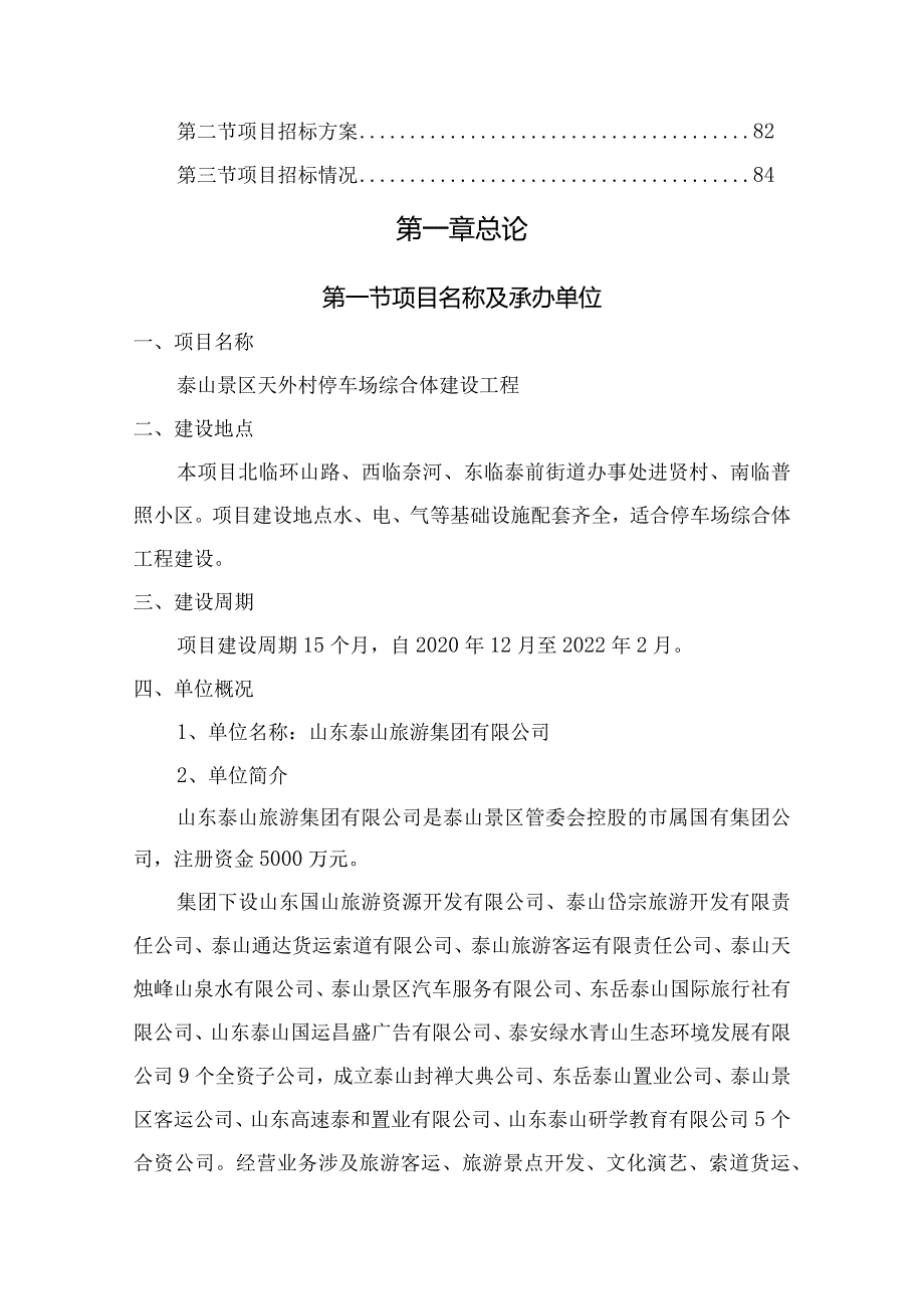 泰山天外村停车场项目可行性研究报告.docx_第3页