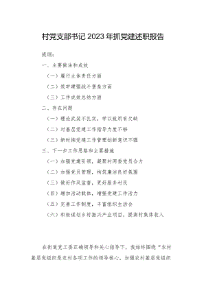 村党支部书记2023年抓党建述职报告.docx