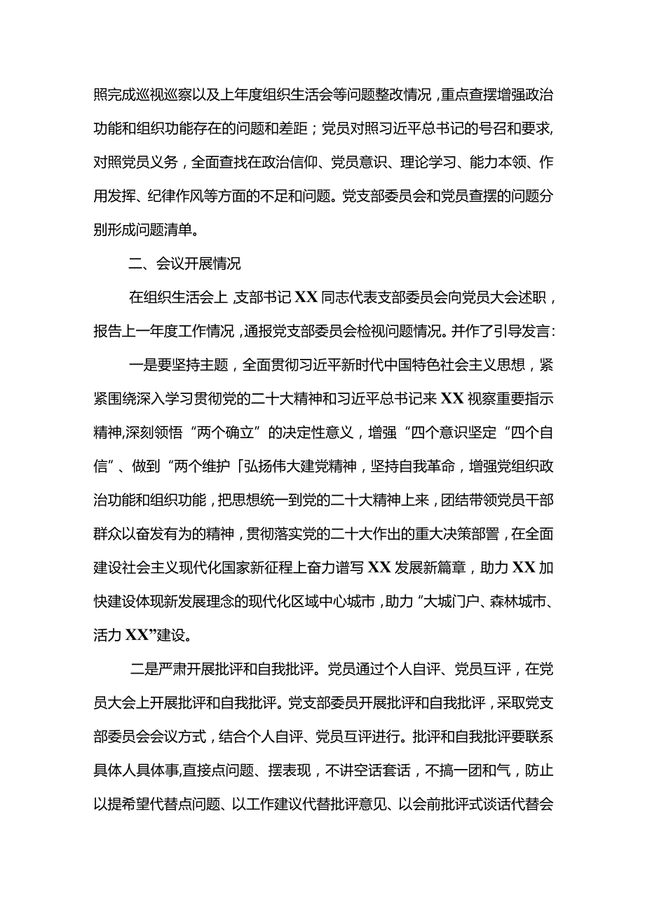 支部组织生活会开展情况报告.docx_第3页