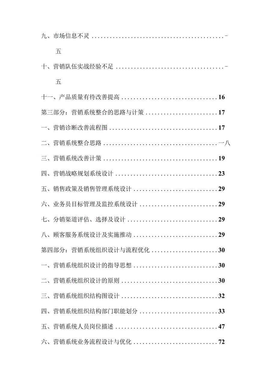 某某公司市场营销系统全面解决方案.docx_第2页