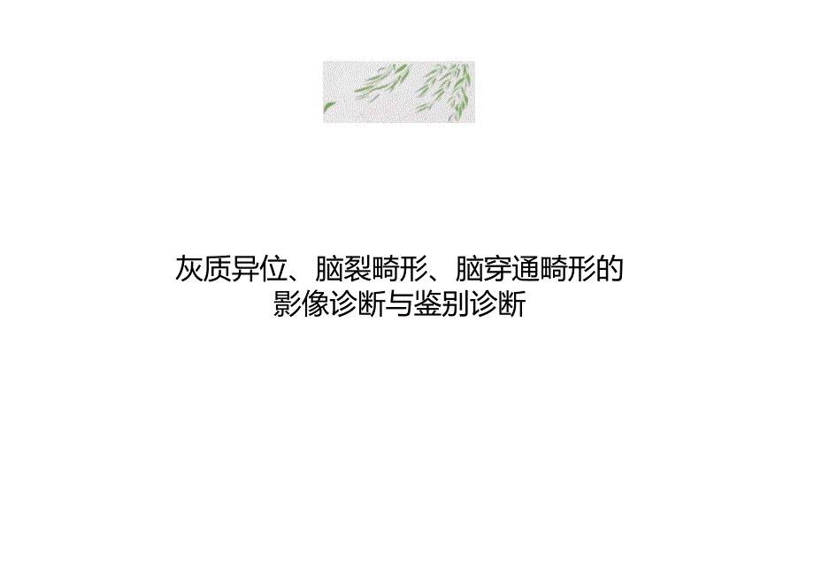 灰质异位、脑裂畸形、脑穿通畸形的影像诊断与鉴别诊断.docx_第1页