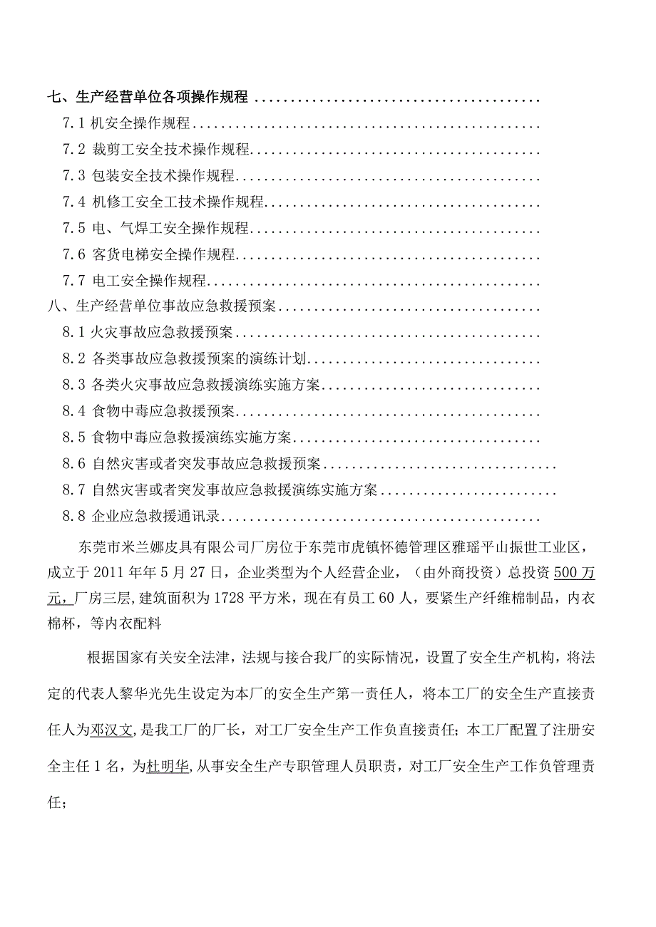 某某皮具安全生产管理档案.docx_第3页