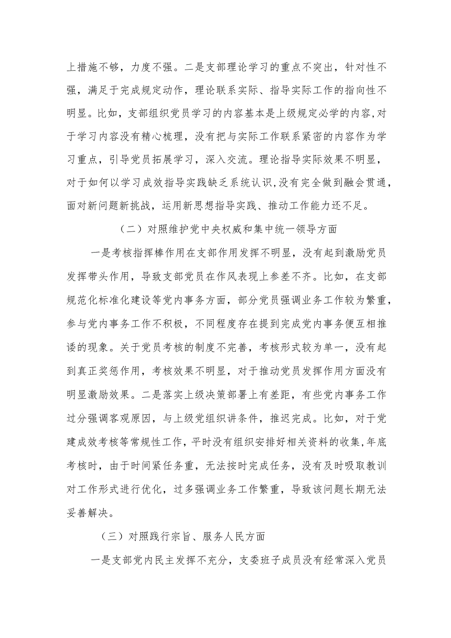 支部班子2023-2024年度新六个方面班子对照检视材料.docx_第2页