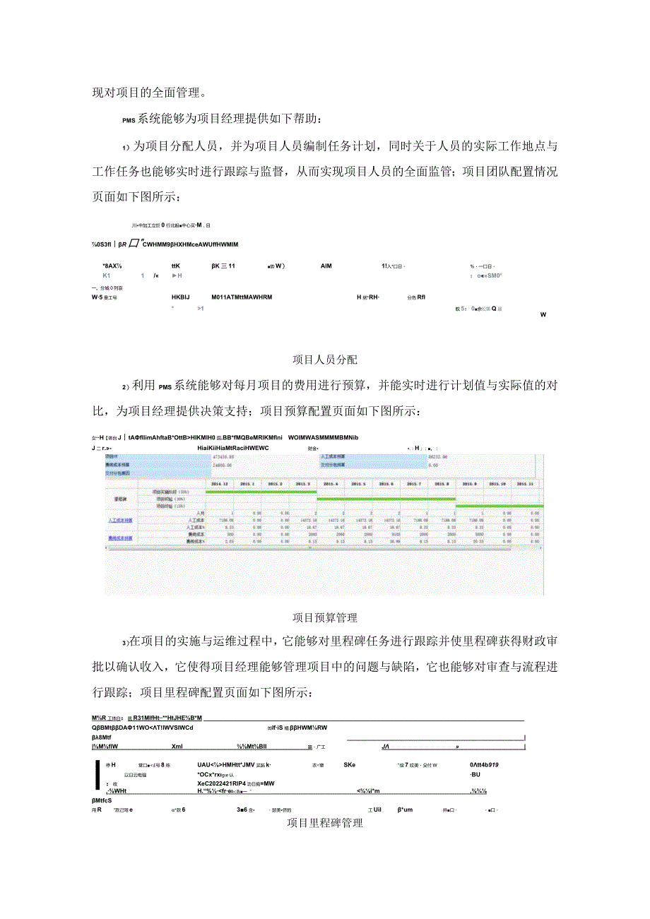 某项目实施管理方案.docx_第2页