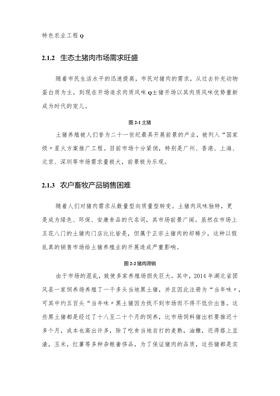 生猪养殖项目可行性实施实施计划书.docx_第3页