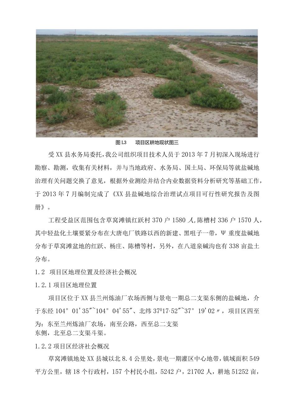 某县盐碱地综合治理试点项目可行性研究报告.docx_第3页