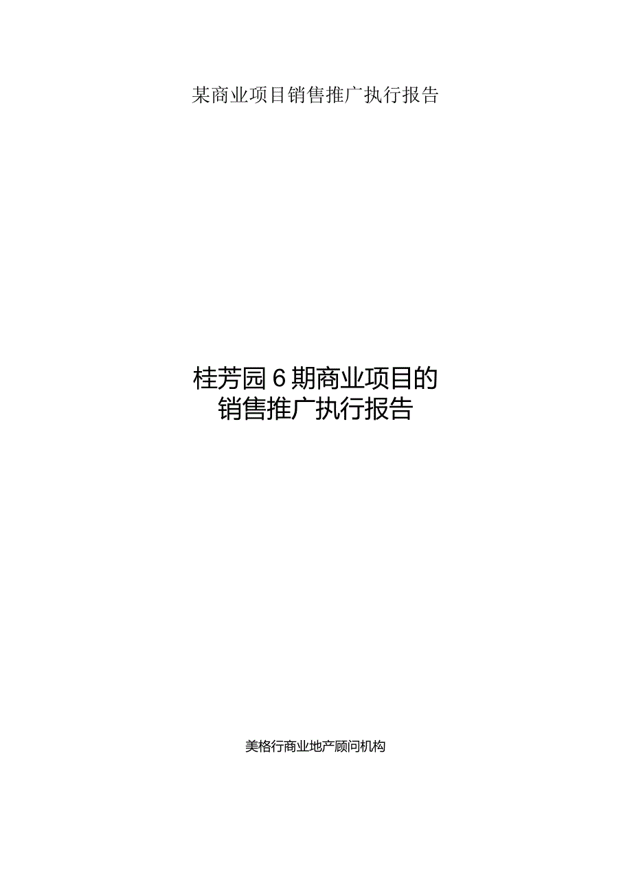 某商业项目销售推广执行报告.docx_第1页