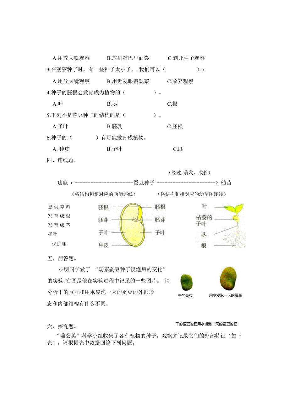 教科版四年级下册第一单元1.1《种子里孕育着新生命》习题.docx_第2页