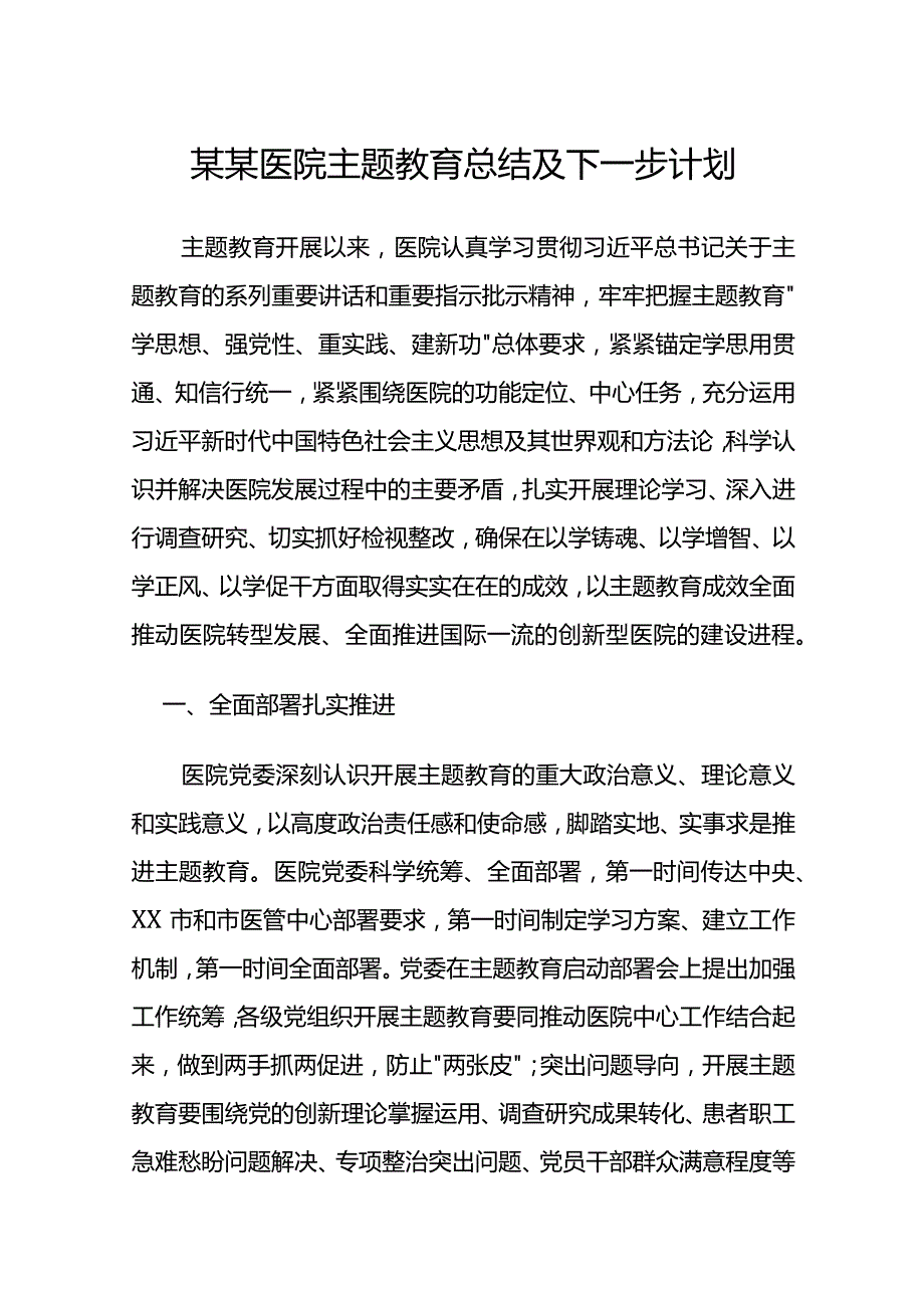 某某医院主题教育总结及下一步计划.docx_第1页