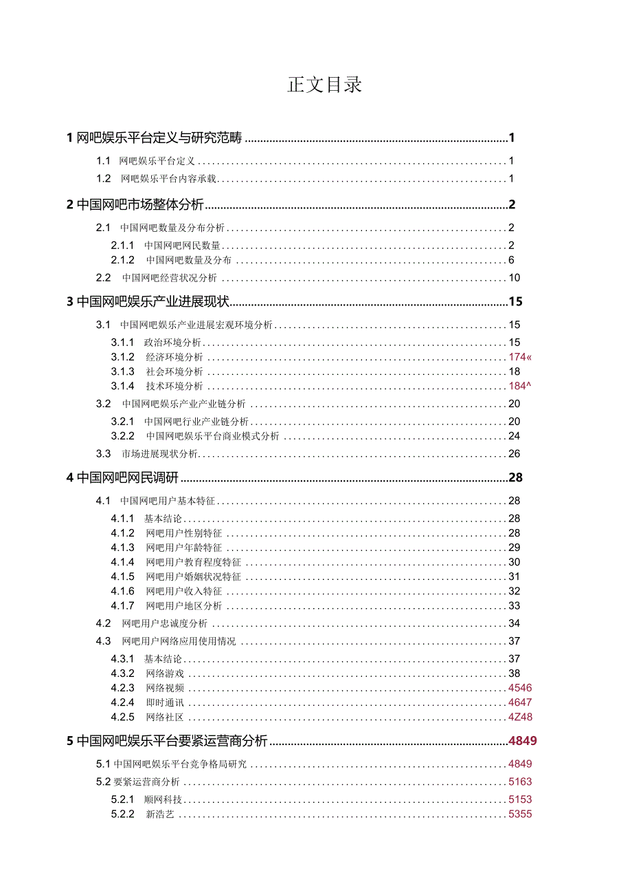 某网吧娱乐产业专题研究报告.docx_第2页