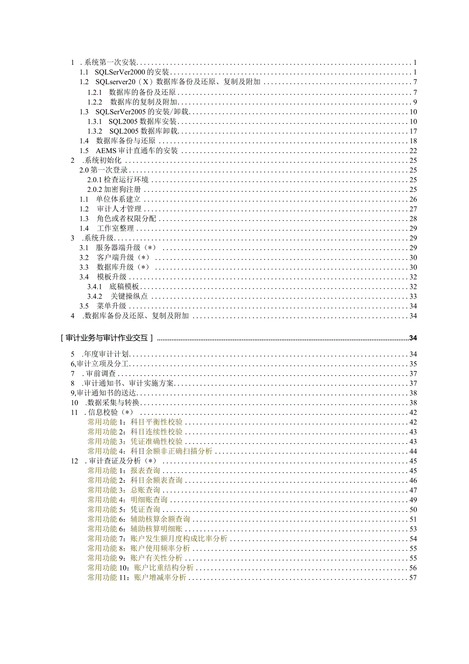 某公司审计管理信息系统流程指南.docx_第2页