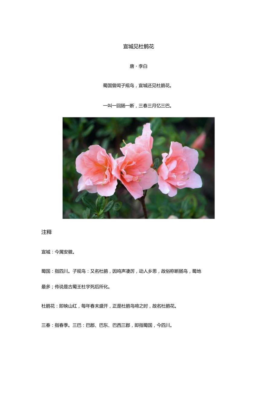 李白《宣城见杜鹃花》全诗译文及赏析.docx_第1页