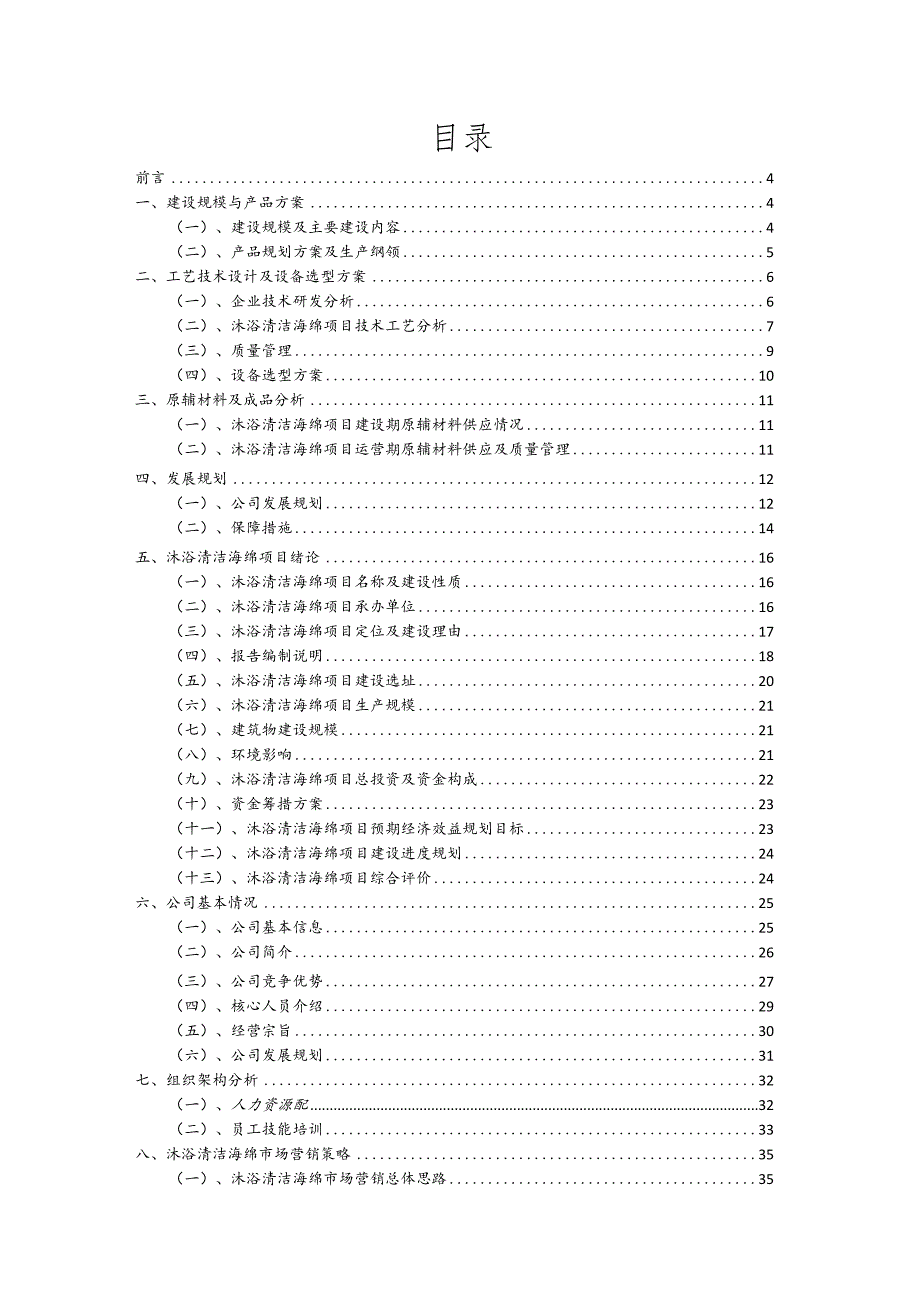 沐浴清洁海绵行业商业计划书.docx_第2页