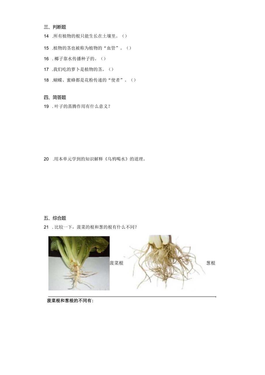 期中测试卷（试题）.docx_第2页