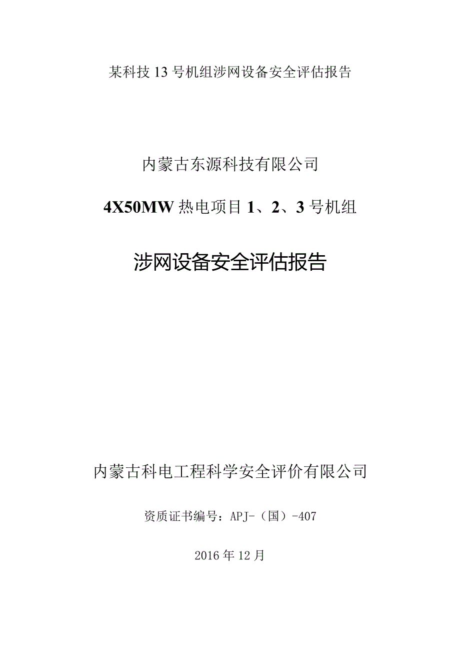 某科技13号机组涉网设备安全评估报告.docx_第1页