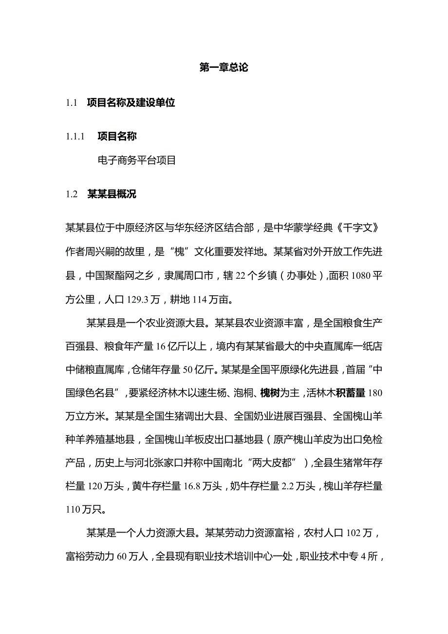 某县电子商务平台建设方案.docx_第3页