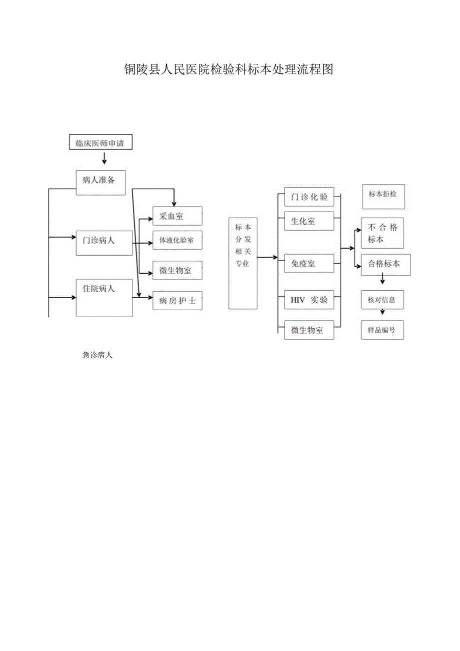 标本处理流程.docx_第1页