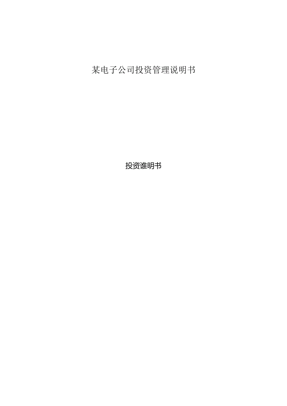 某电子公司投资管理说明书.docx_第1页