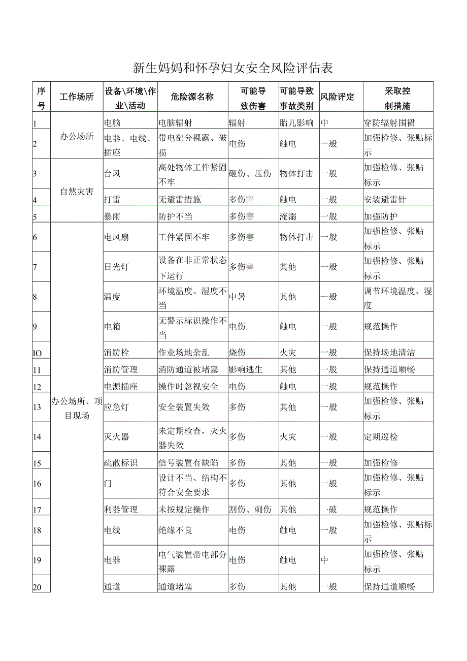 新生妈妈和怀孕妇女安全风险评估表.docx_第1页