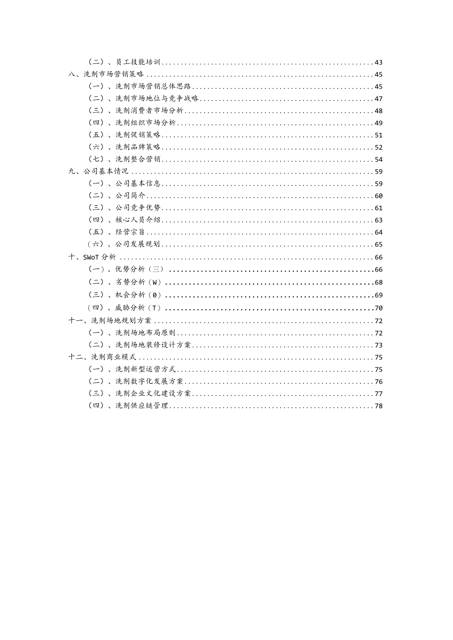 洗剂行业商业计划书.docx_第3页