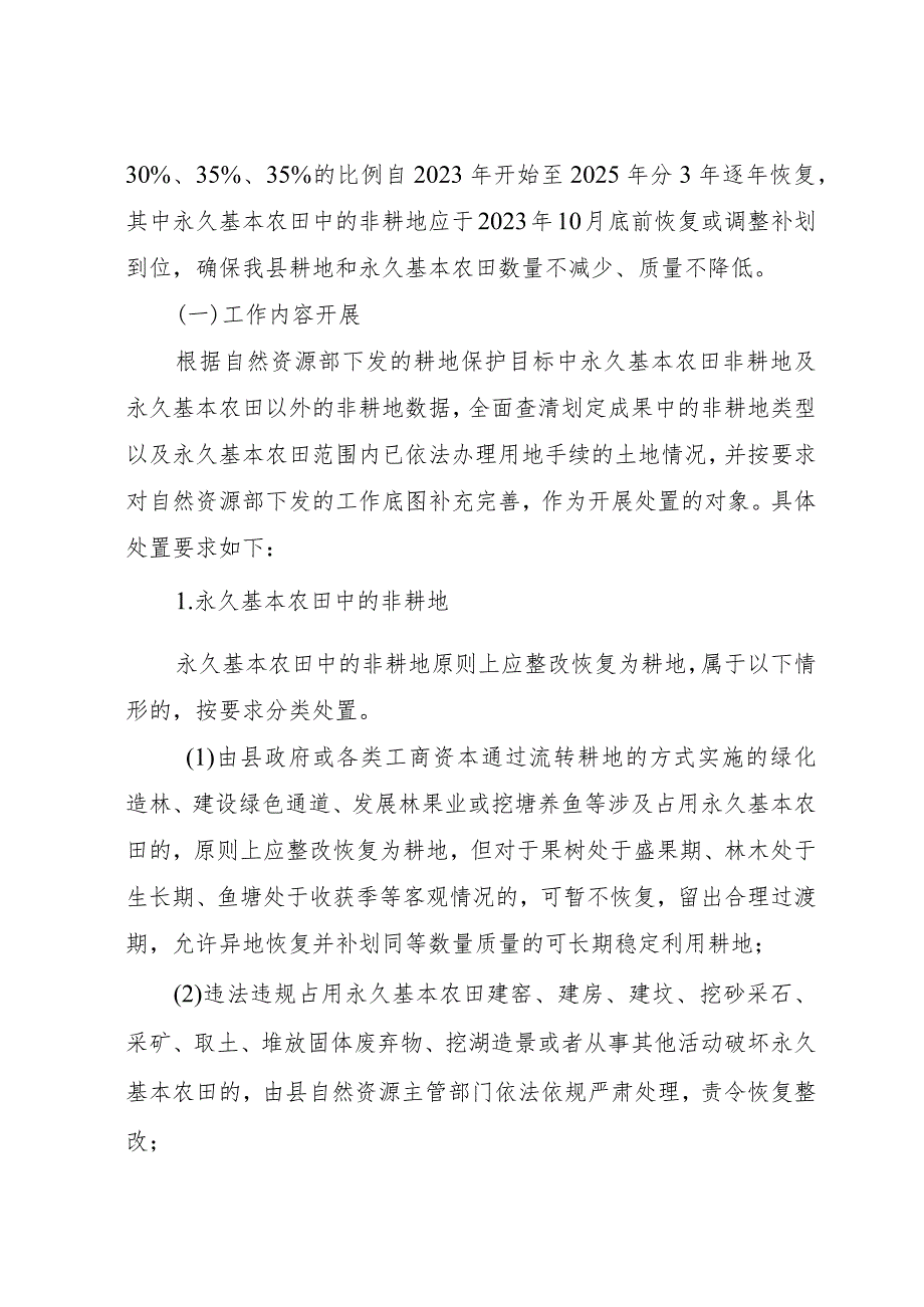 新时代耕地和永久基本农田划定成果核实处置工作方案.docx_第2页