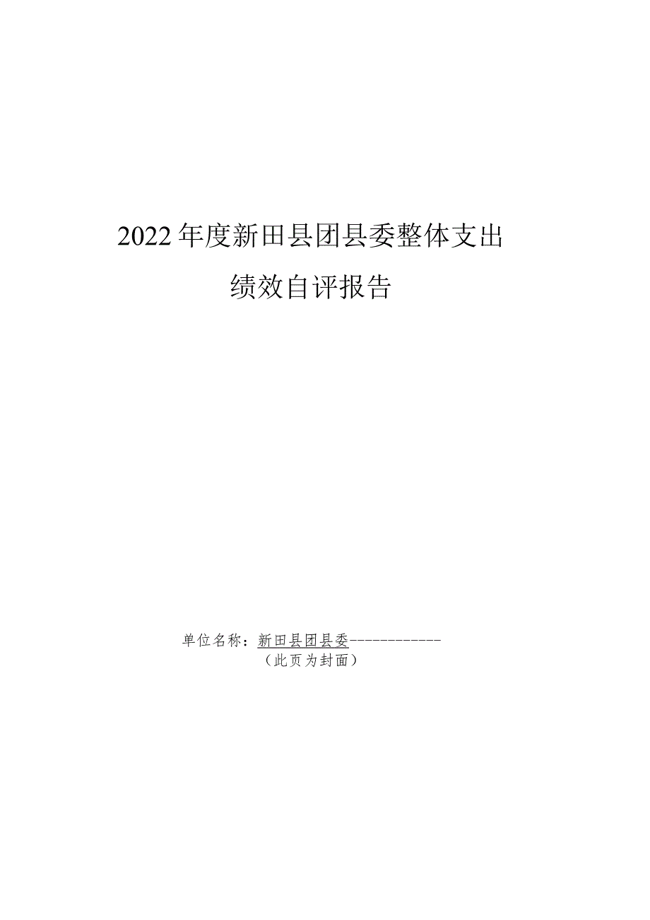 2022年度新田县团县委整体支出绩效自评报告.docx_第1页