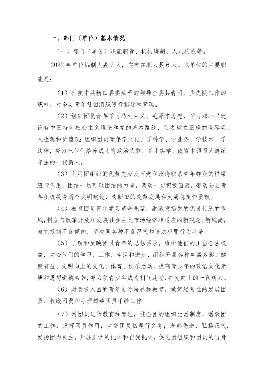 2022年度新田县团县委整体支出绩效自评报告.docx_第2页