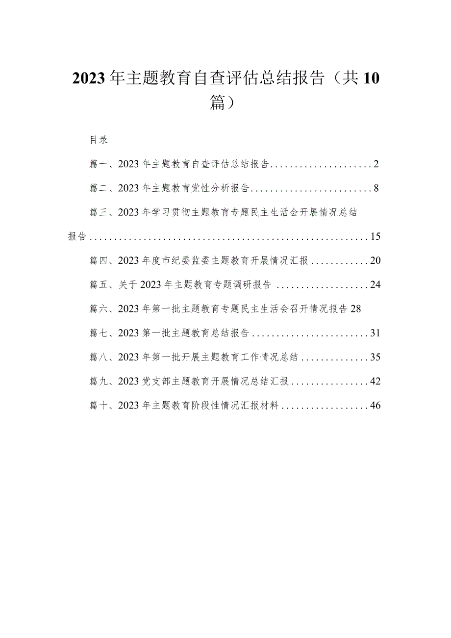 2023年专题自查评估总结报告（共10篇）.docx_第1页