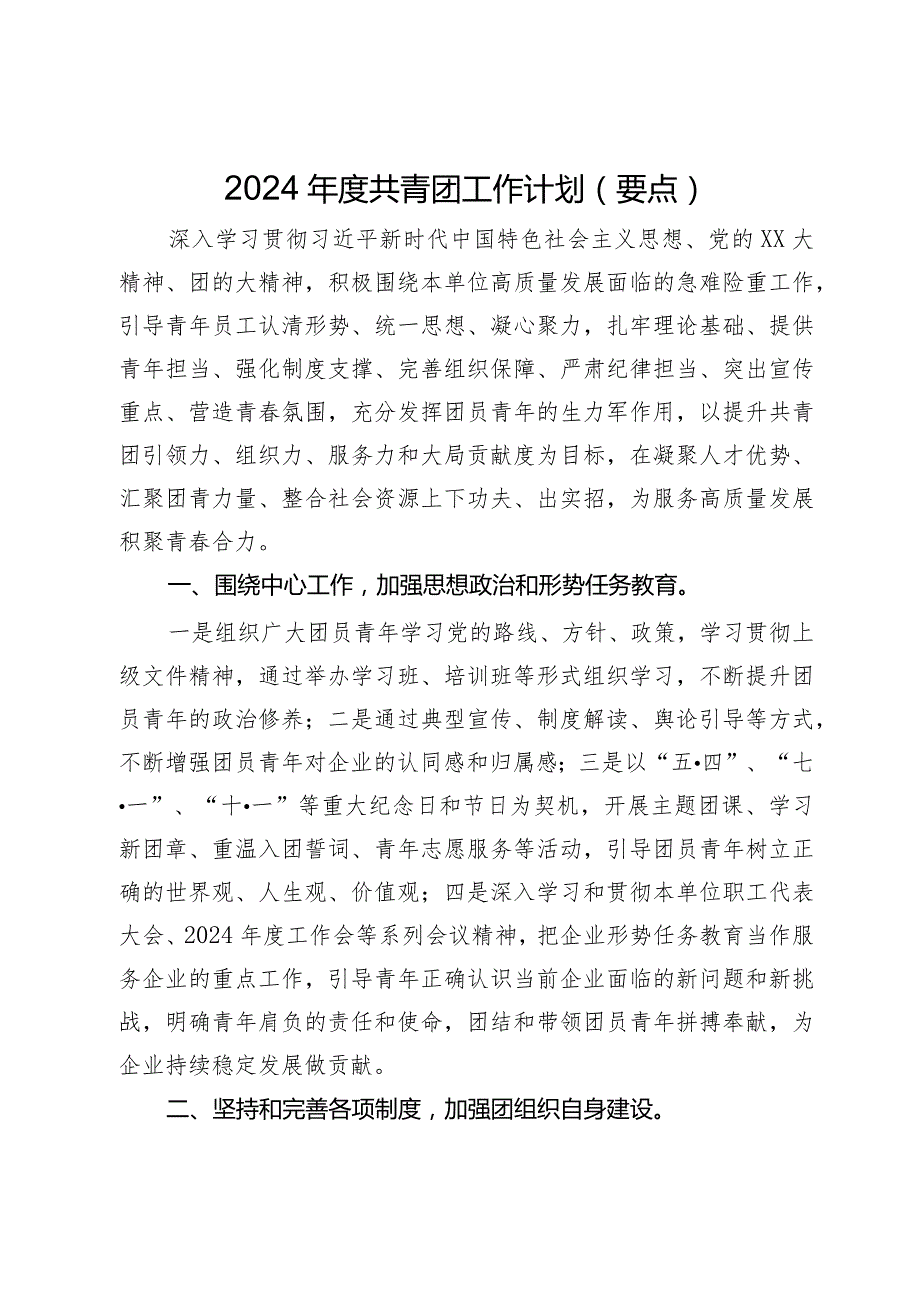 2024年度共青团工作计划（要点）.docx_第1页