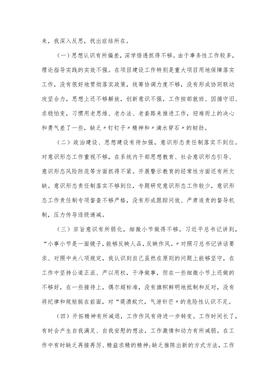 国土资源副区长落实巡察组反馈意见整改专题民主生活会发言提纲.docx_第3页