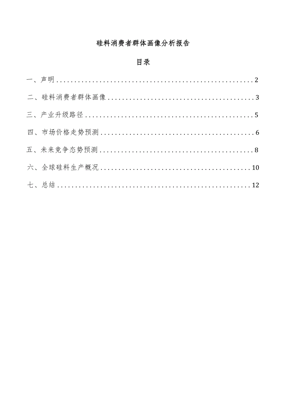 硅料消费者群体画像分析报告.docx_第1页