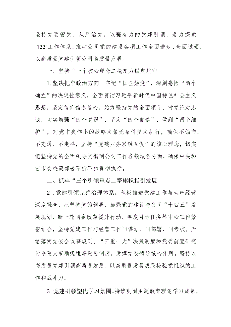 公司2024年党建工作要点.docx_第2页