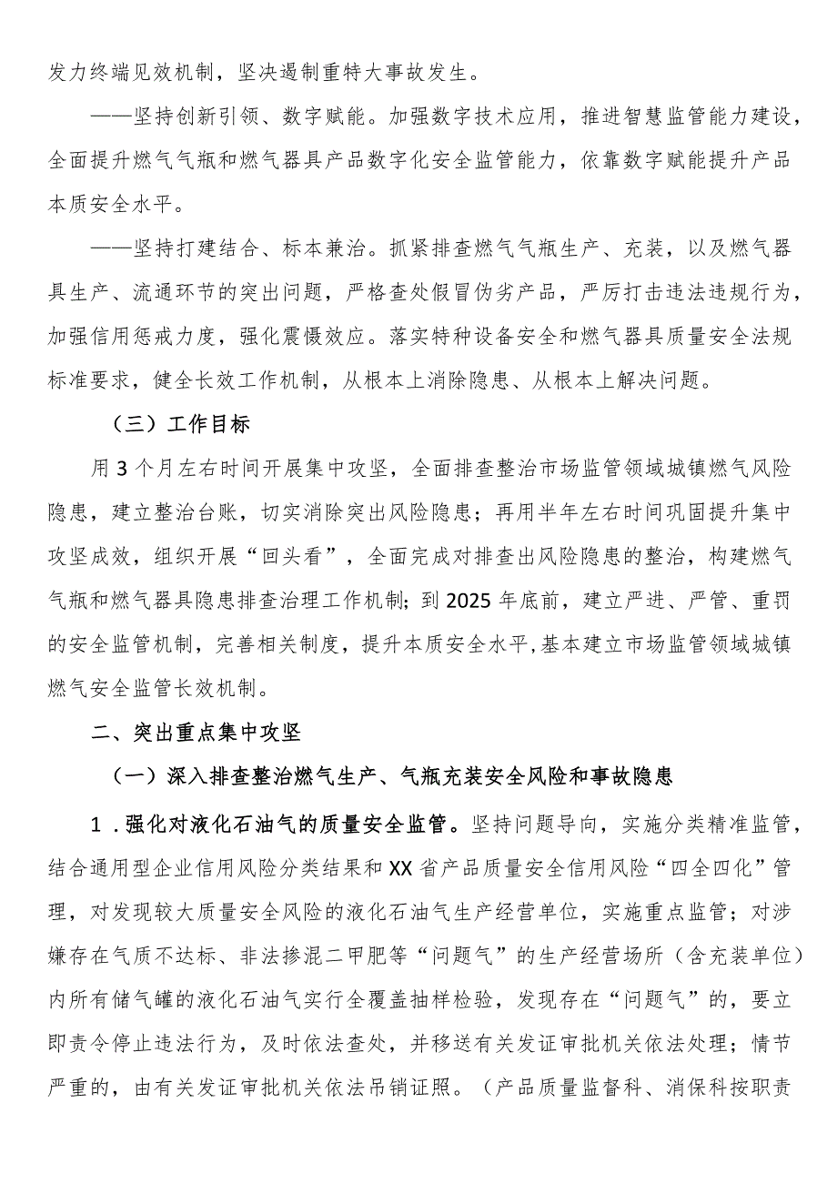 市市场监管系统城镇燃气安全专项整治行动实施方案.docx_第2页